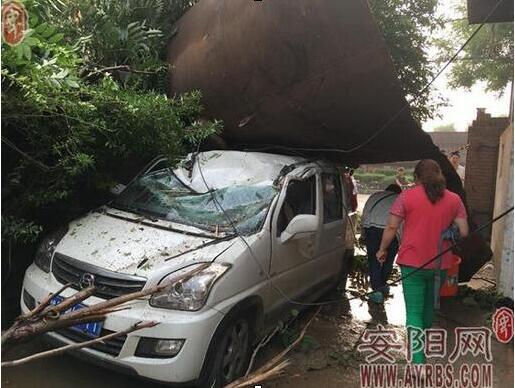 殡葬车意外掉落遗体，司机误以为是撞人事件