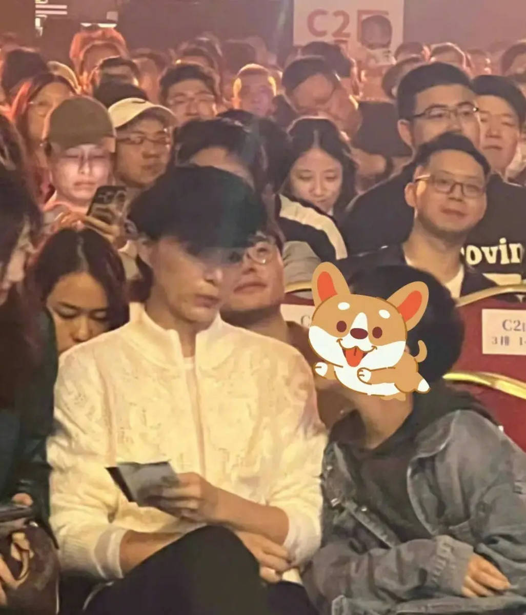 董卿携子共赏刘谦演出，艺术与情感的交融之夜