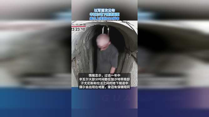 辛瓦尔地下隧道揭秘，神秘之旅与温馨的爱与陪伴故事
