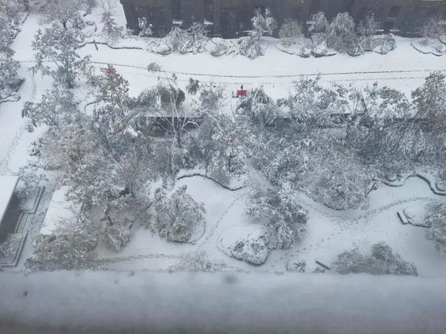 冬季防寒保暖指南，漠河最大积雪深度达19厘米，保暖措施需重视！