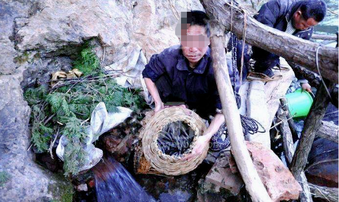 外来媳妇的高科技生活，虚假传闻背后的真实变革与智能生活体验器的亮相