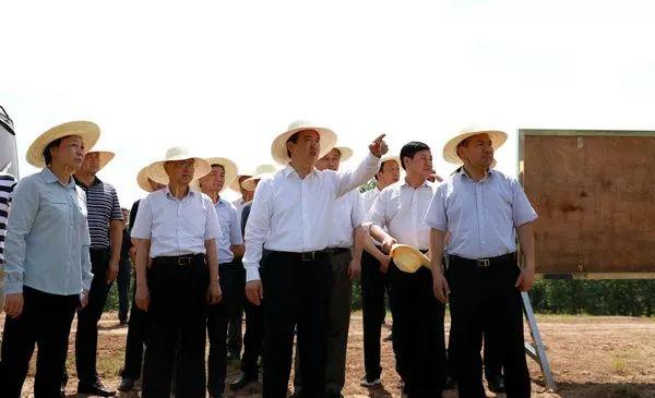 荆州市长被查事件揭秘，背景、进展与影响聚焦