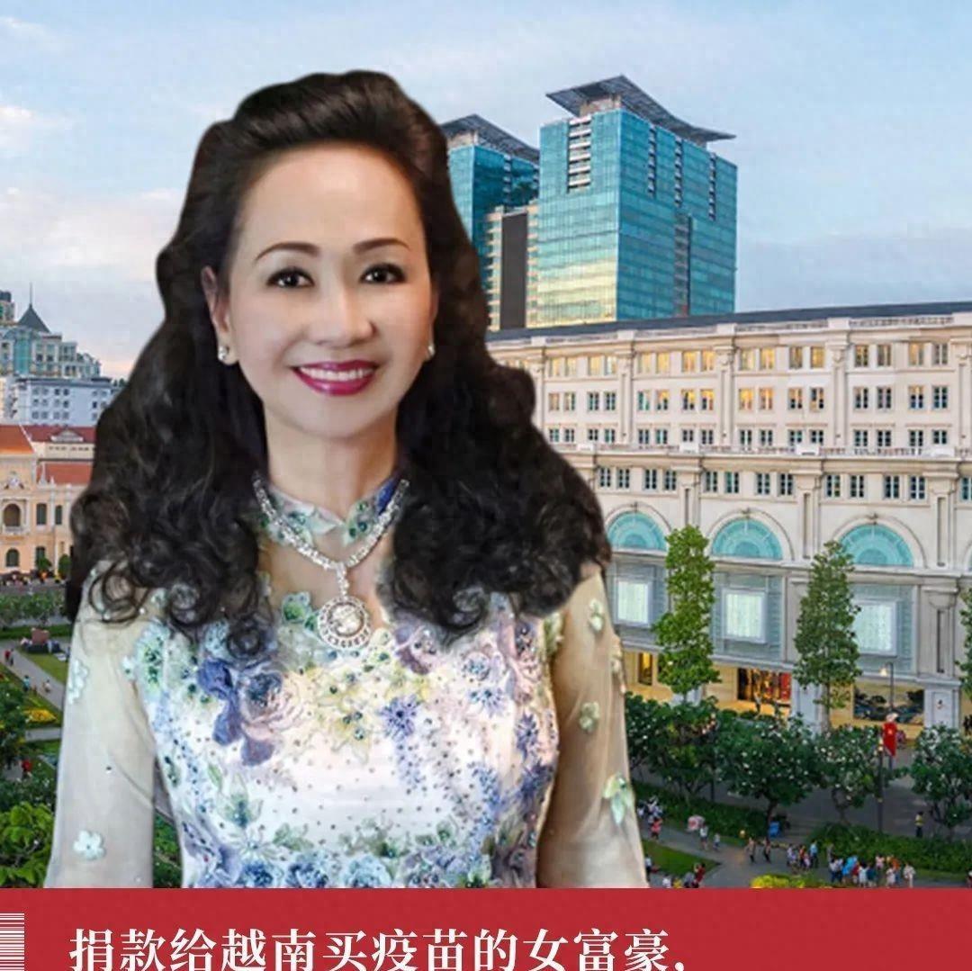 越南女首富张美兰的法律历程，无期徒刑的追加与案例分析