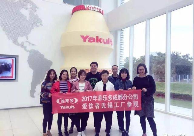 自称卖出20多个孩子的中介被传唤事件揭秘，处理步骤指南与反思
