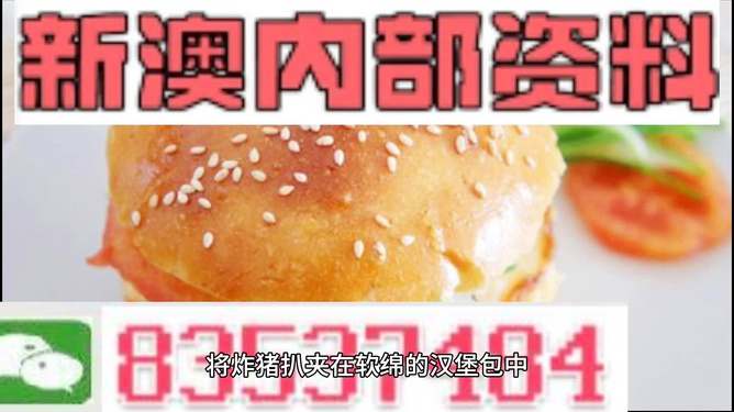 2024新澳正版免费资料大全，效率资料解释落实_网页版79.21.48