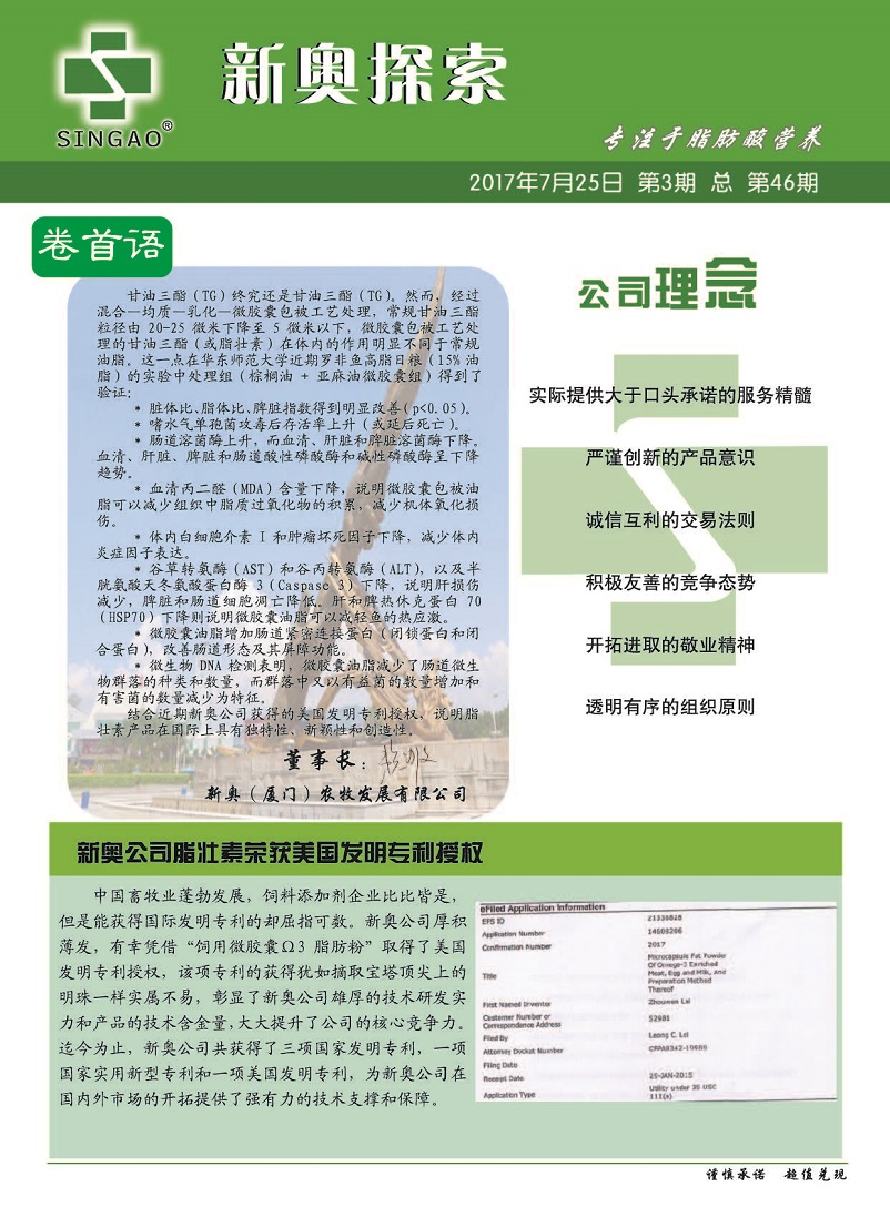 2024新奥正版资料免费提供，绝对经典解释落实_VIP62.100.1