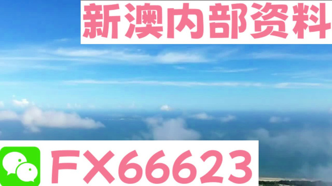 2024新澳免费资料内部玄机，效率资料解释落实_ios1.27.41