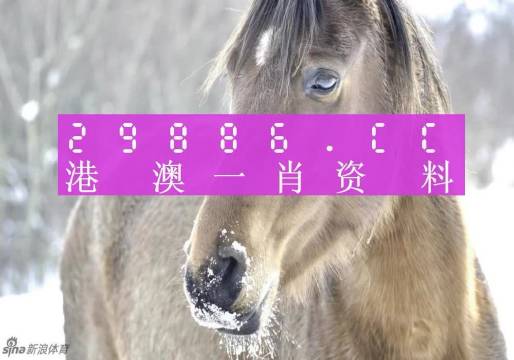 澳门一肖一码100准，最新答案解释落实_BT53.47.10