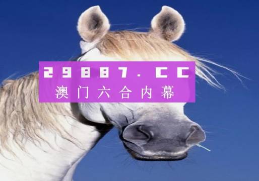 澳门天天六开彩正版澳门，决策资料解释落实_WP91.35.6