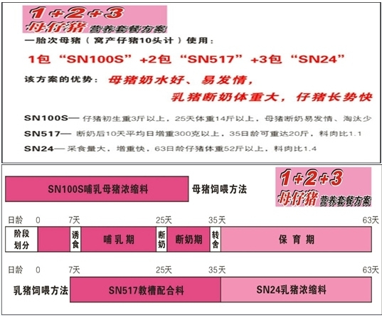 2024新澳精准资料免费，全面解答解释落实_V77.98.77