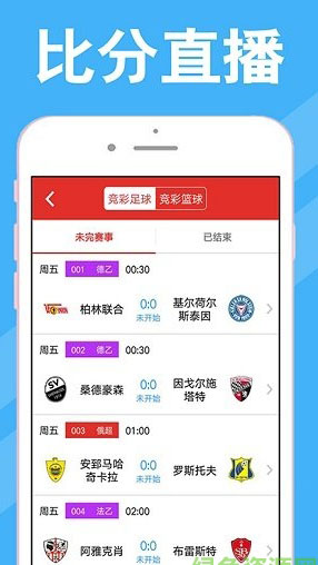 2024新澳门正版免费资料车，全面解答解释落实_app11.17.34