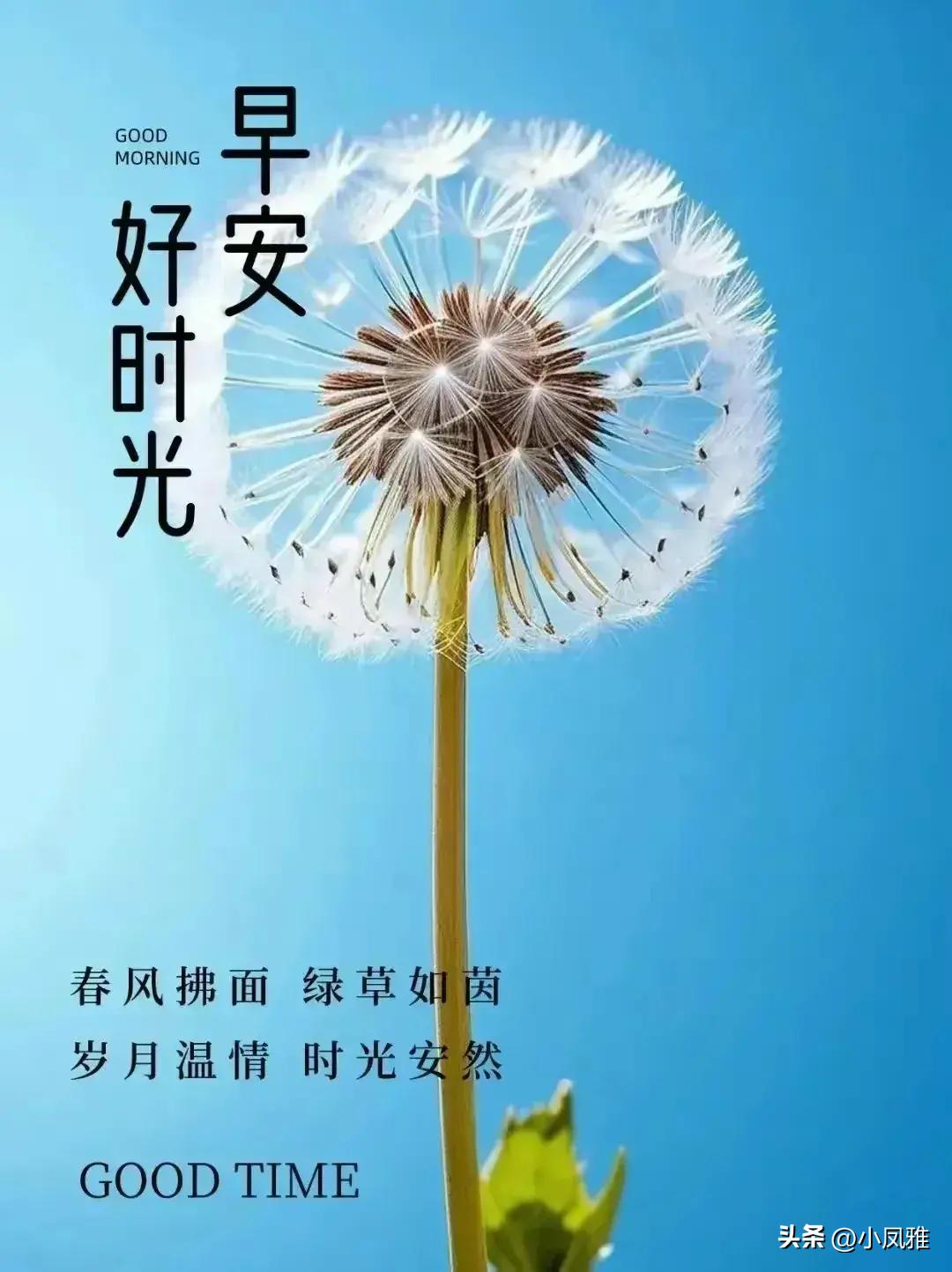 2024天天彩正版资料大全，最新正品解答落实_app55.59.23
