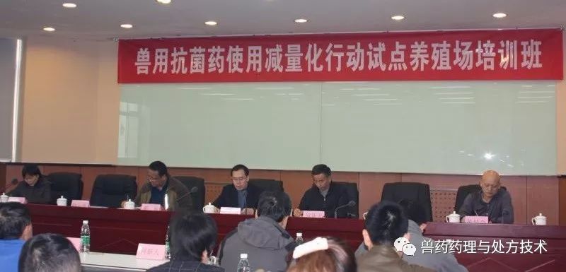 台湾养鸡协会倡导班班吃鸡蛋，一场寻找内心平静的养鸡之旅启动