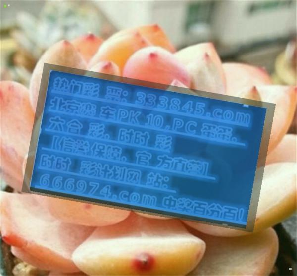 管家婆一码一肖，决策资料解释落实_VIP49.88.25