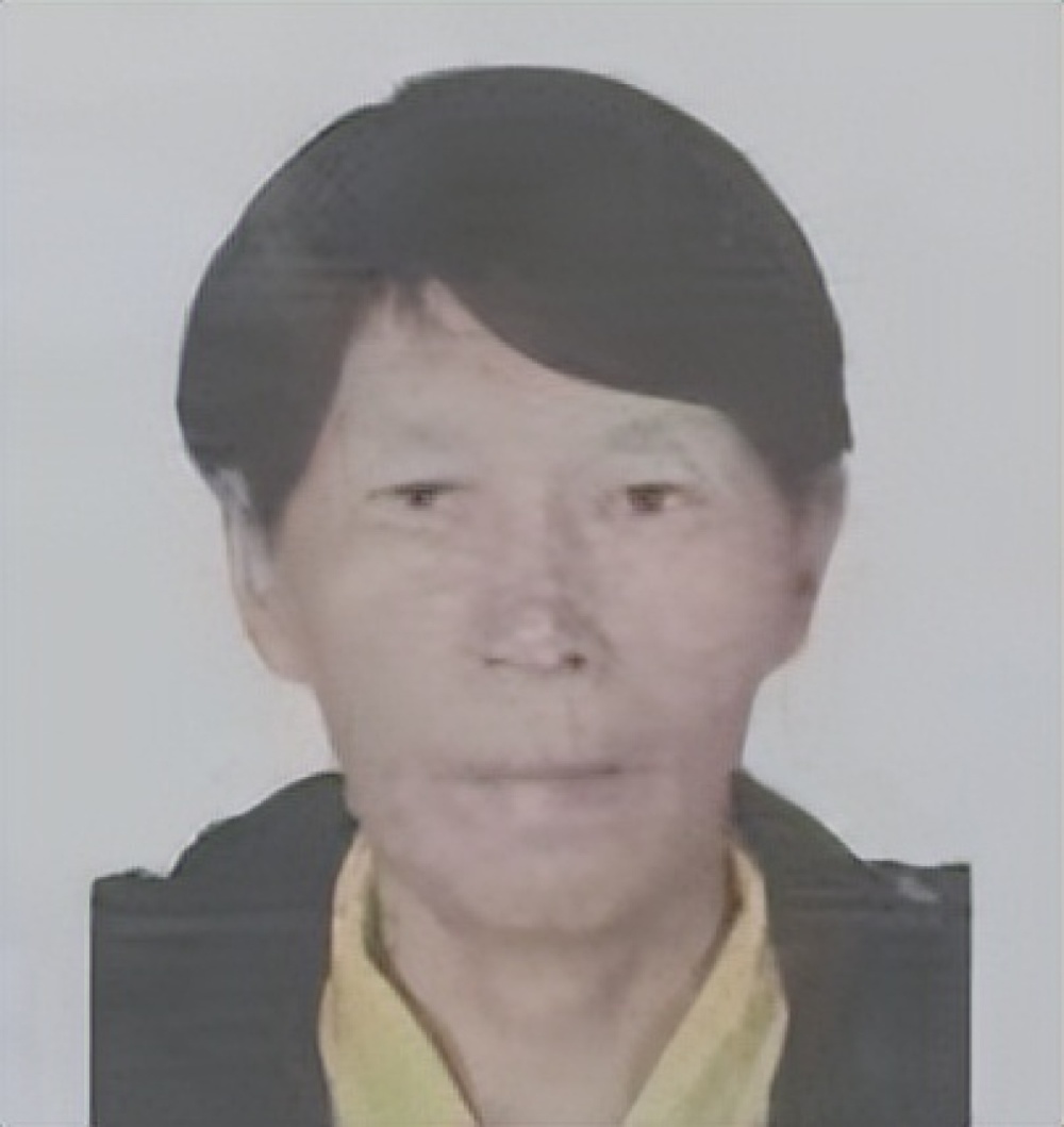 余华英被押入庭现场视频曝光，事件关注与理解指南