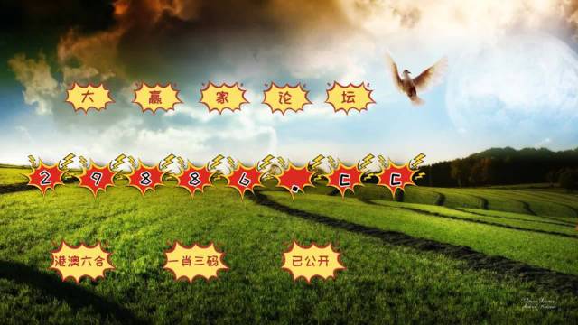 4949澳门彩开奖结果发现,权威方案解析解答解释_设计型2.491