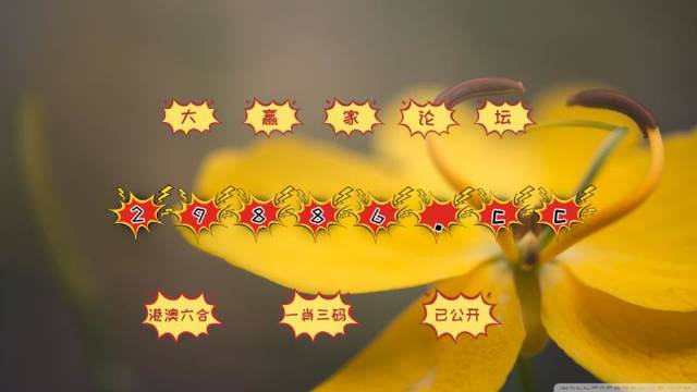 澳门4949开奖结果最快,科学化方案实施探讨_私密款58.338