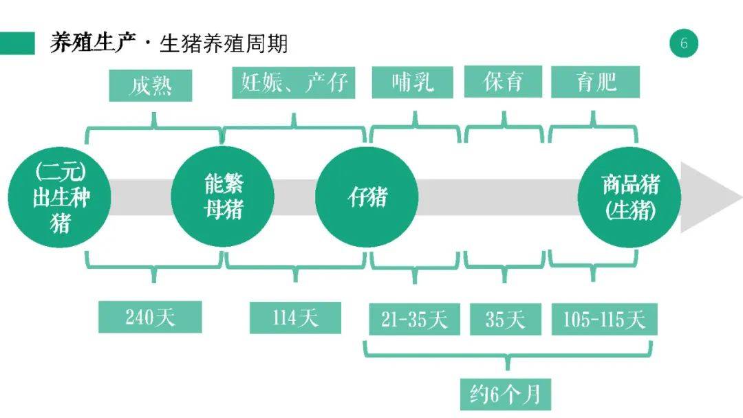 新奥彩资料长期免费公开,高效分析说明_完整集88.587