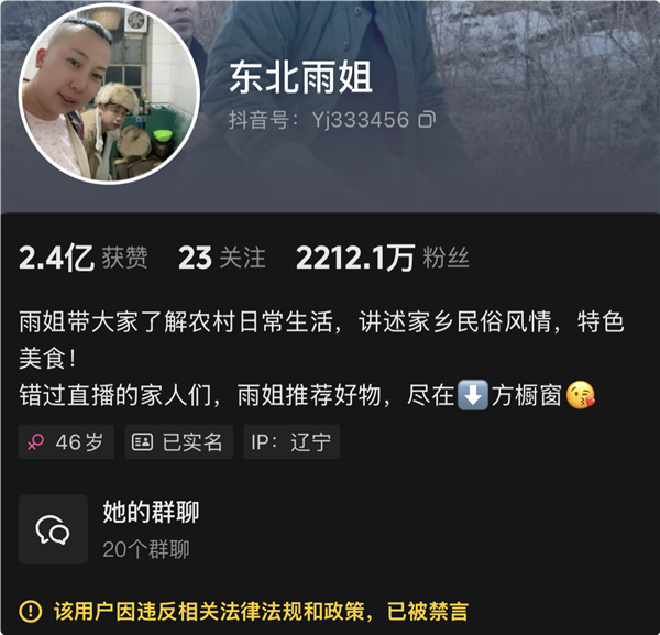东北雨姐账号被禁言背后的科技重塑沟通，智能语音助手带来全新体验