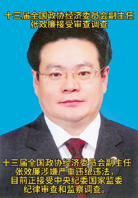 张效廉被查