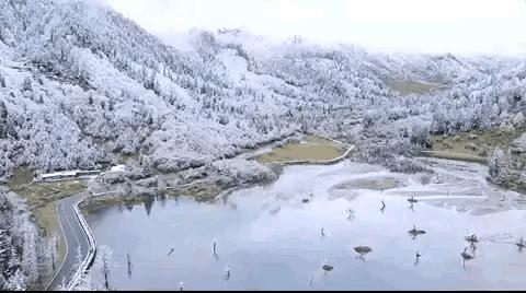 雨雪大风降温天气/气象预警启动