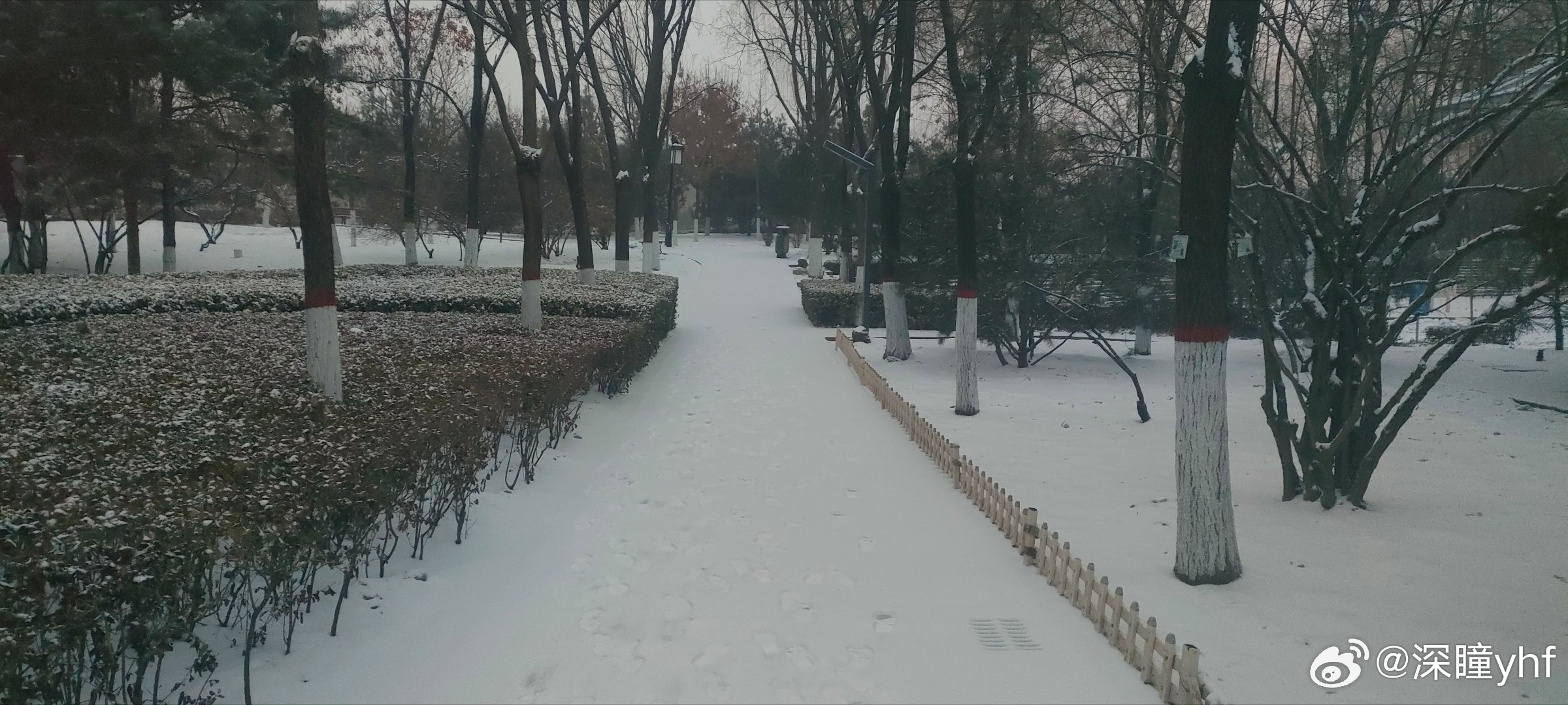 太原初雪刷新纪录，史上最早初雪降临！