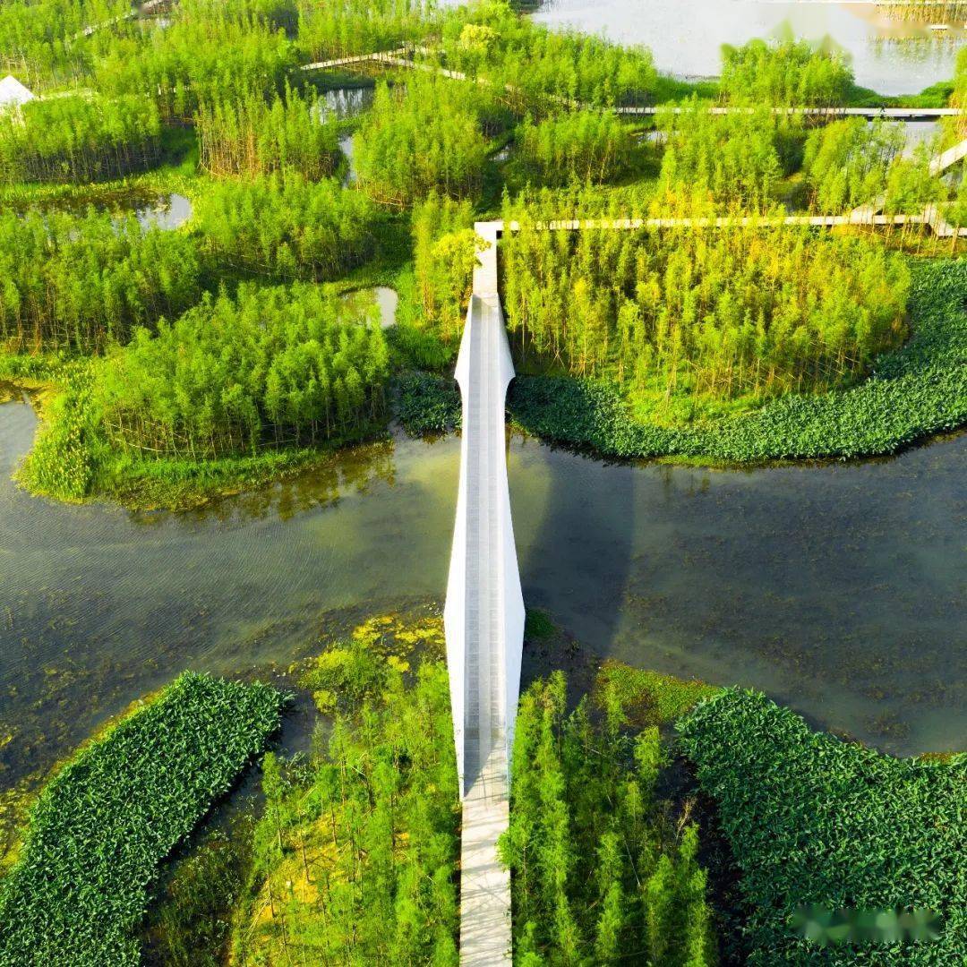 医院，生命的庇护所，非网红打卡秀场