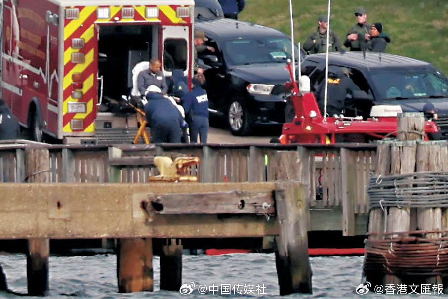美国轮渡码头事故致多人死亡，深度解析与反思
