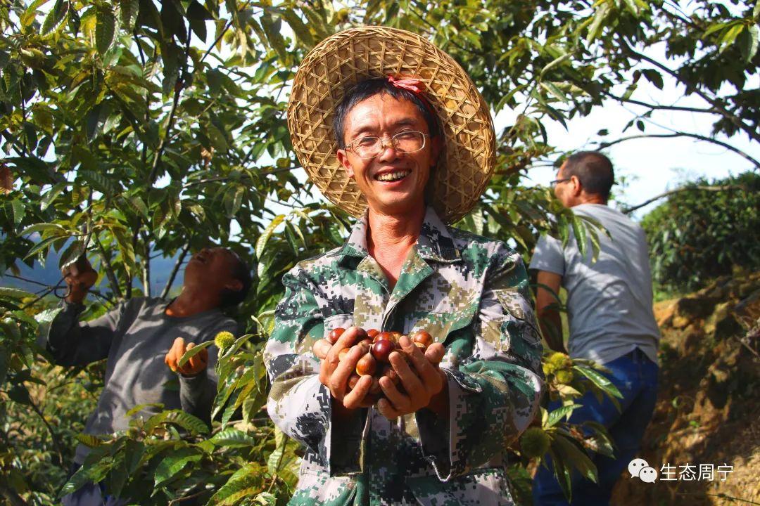 粮食安全深度探讨，粮稳天下安的重要性