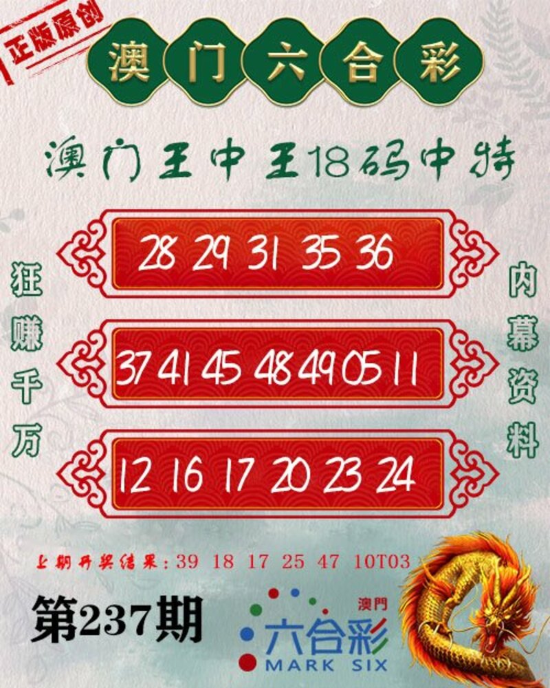 2024澳门王中王7777788888，专责问题处理复刻LOW708.23版