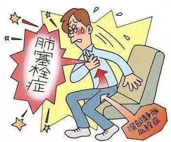 男子乘飞机久坐致肺栓塞身亡，事件背后的健康风险与交通方式影响探讨