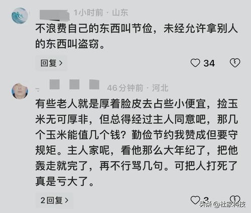 老人拾玉米被打致死伤事件回应与小巷美食探秘