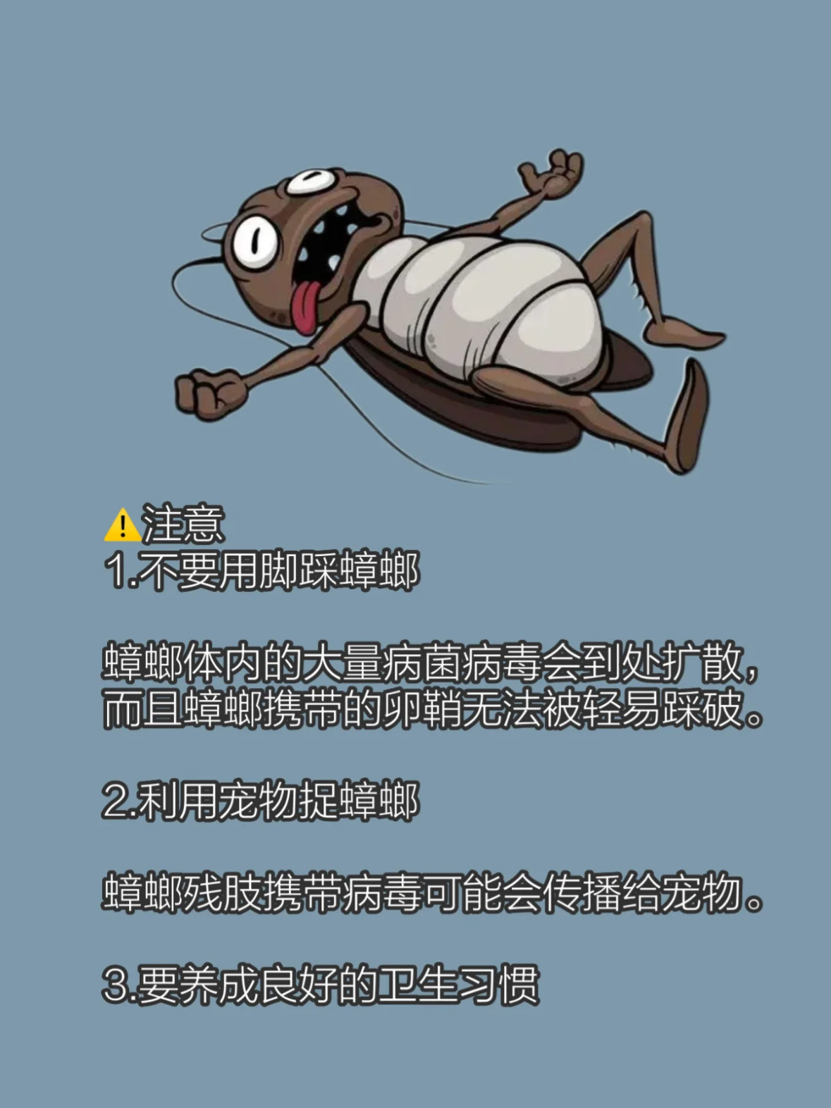 广东蟑螂进化引发关注，疾控部门作出回应