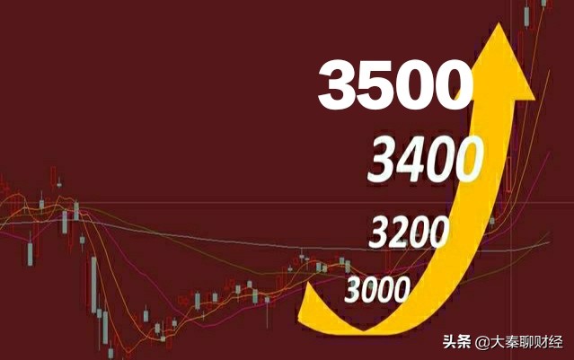 女子花800万委托炒股，金融冒险的沉浮故事