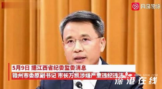 副市长辞职外逃背后，举报市委书记的真相与反思
