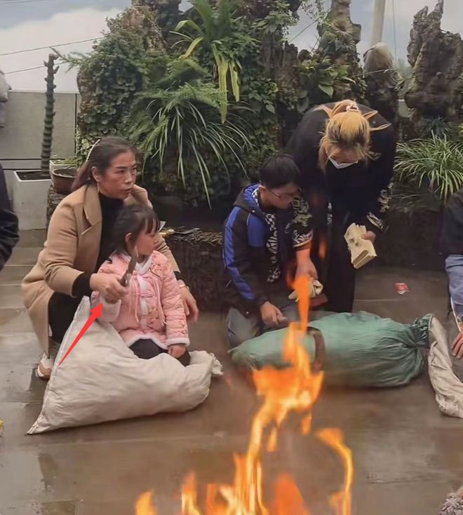 网红云南阿奎离世，缅怀与反思其影响