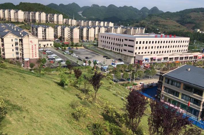 多地整治关系保问题，开启自然美景探索之旅