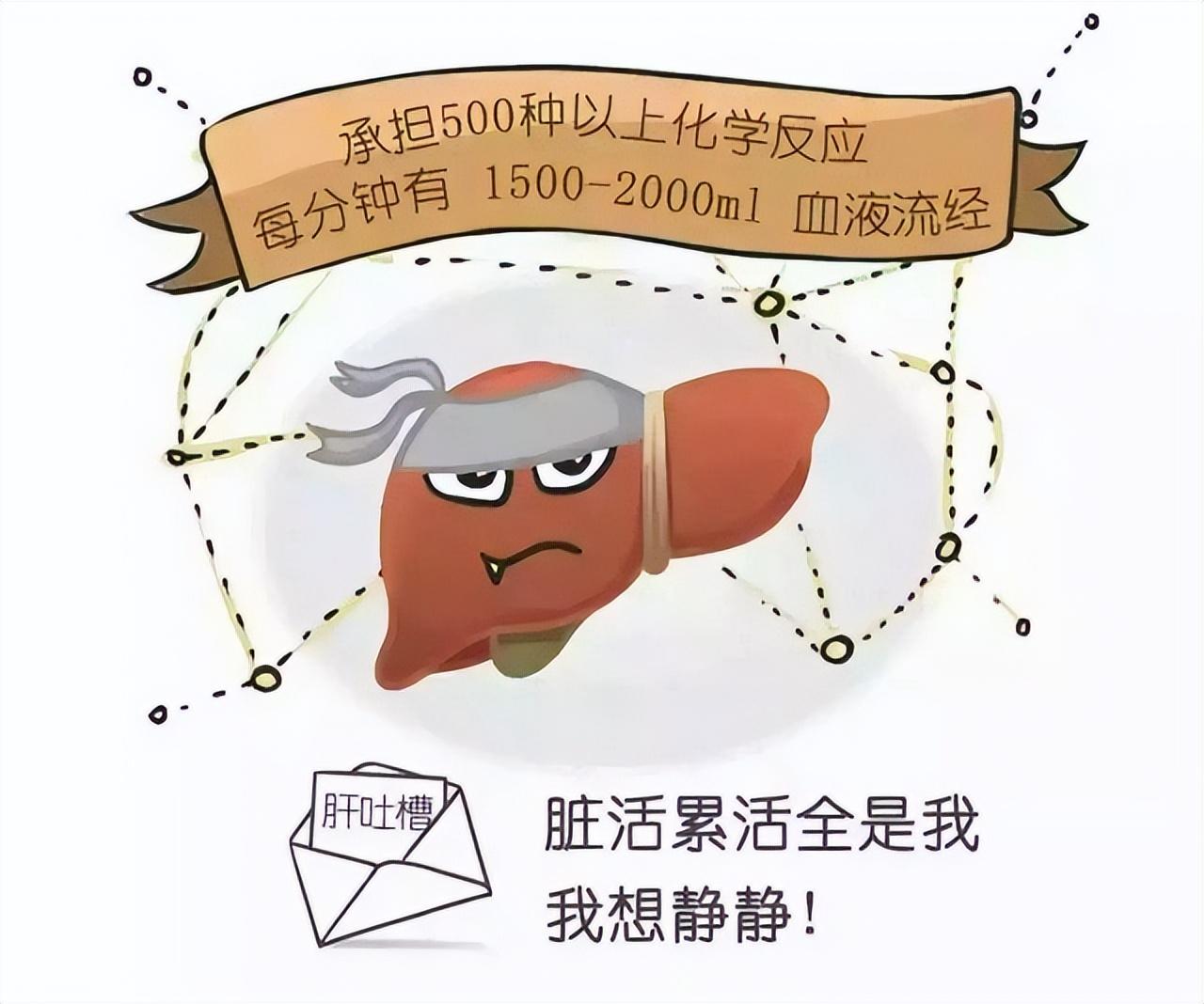 台湾鸡蛋过剩危机，蛋农亏损严重，探寻独特风味小店的出路