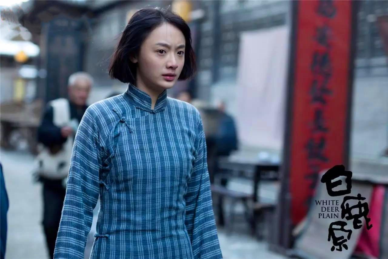 白鹿原电视剧在线免费观看，一场内心的平静之旅