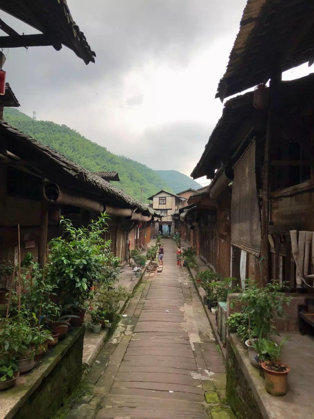 小农乡最新视频，自然美景探索之旅，寻找内心的宁静