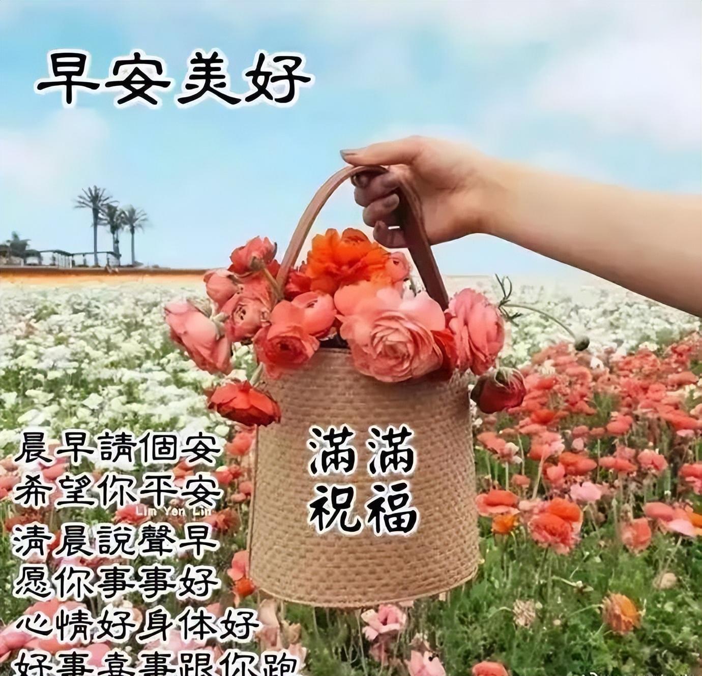 最新经典小说，友情的温馨日常日常故事