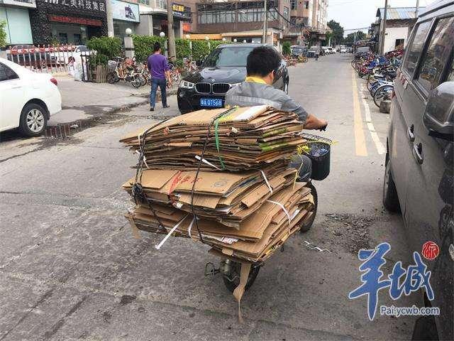 废纸价格最新动态及市场走势分析与预测报告