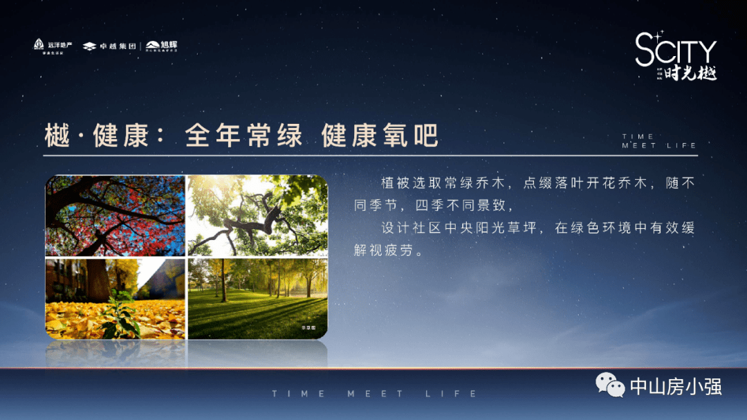 林业政策最新动态及其观点分析，影响与展望