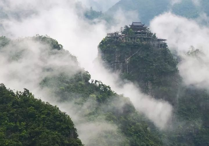维尔利最新动态，自然美景探索之旅的心灵洗礼与觉醒