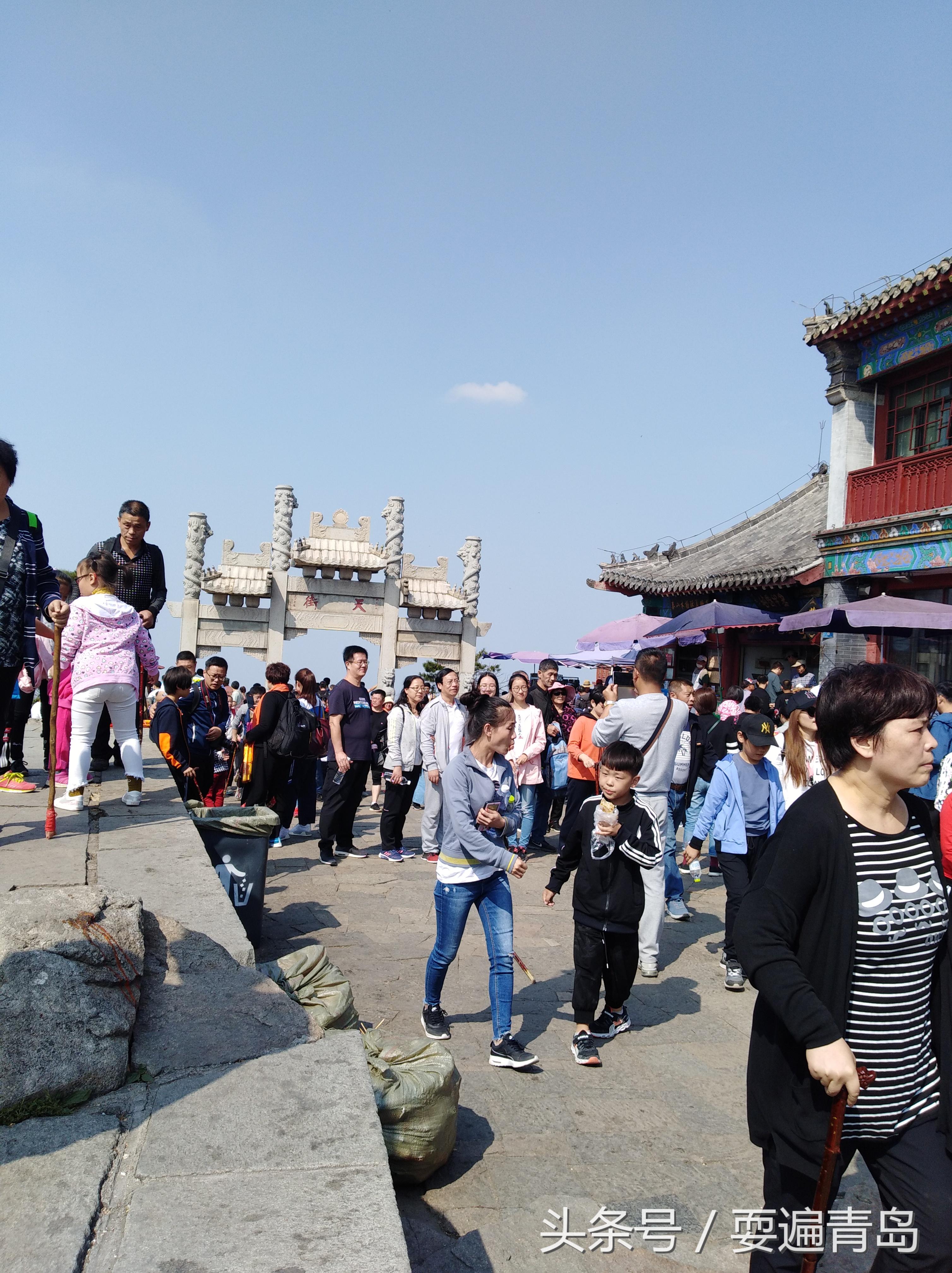 最新大葱价格背后的自然探索之旅，寻找内心的宁静与力量