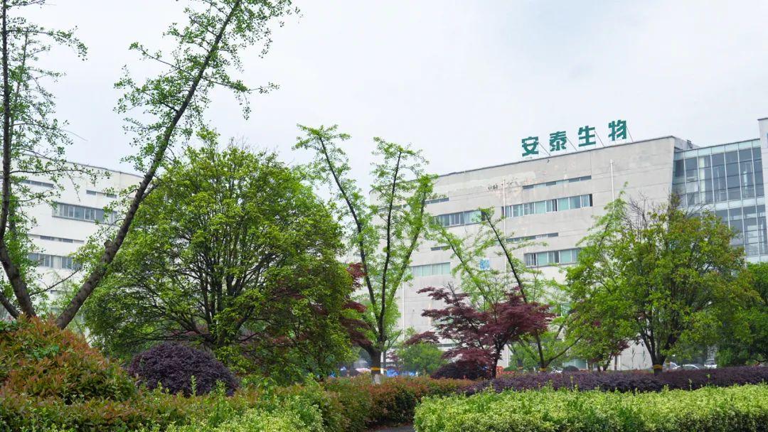 安泰集团最新动态报道