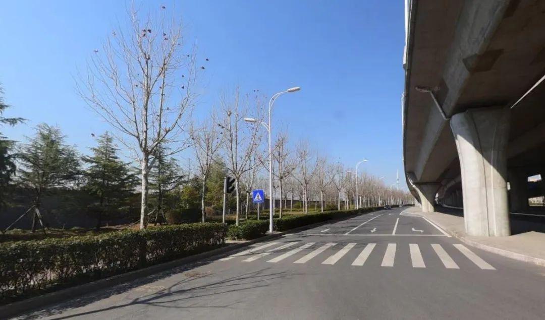最新锑价分析与市场走势多元观点探讨