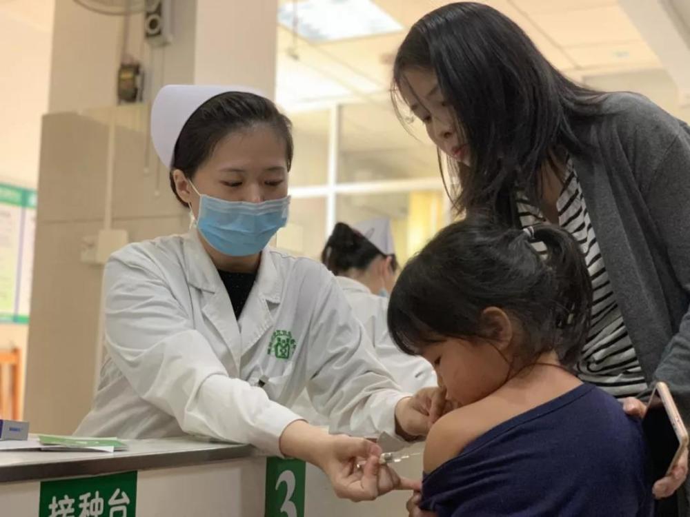 深圳招聘网最新招聘信息详解，求职者全方位指南