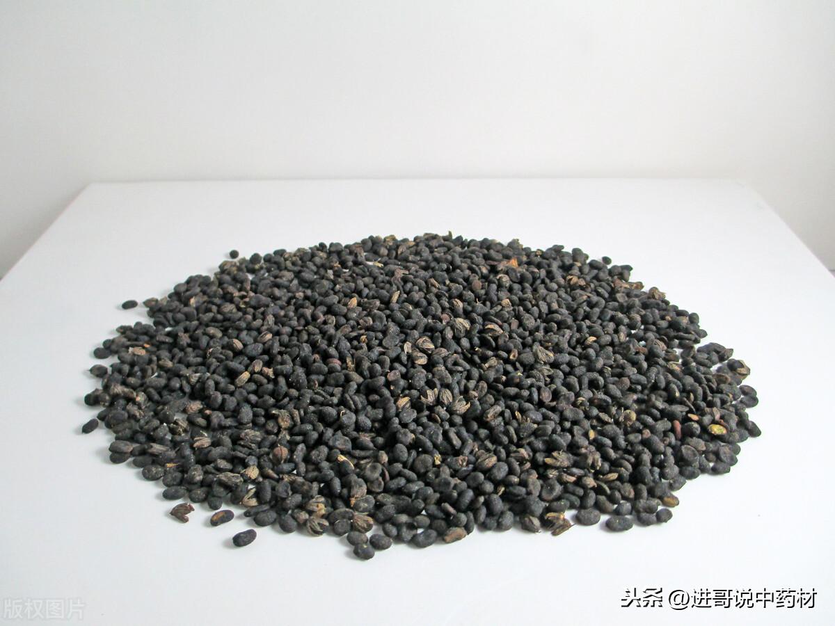 最新黄连价格及深度分析