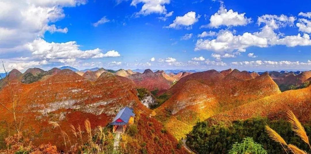 最新QQ黄，自然美景探险之旅，探寻内心的平和与喜悦